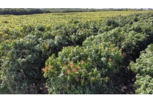 22020 Sw 207th Ave Miami, FL 33170 - MLS#A11956016