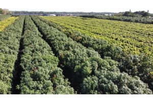 22020 Sw 207th Ave Miami, FL 33170 - MLS#A11956016