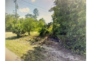 176 Blakely Ave S Lehigh Acres, FL 33974 - MLS#A11956496