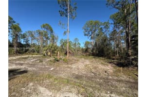 230 Ocean Park Dr Lehigh Acres, FL 33972 - MLS#A11957028