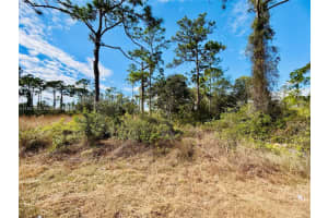2007 Truman Ave Lehigh Acres, FL 33920 - MLS#A11957392