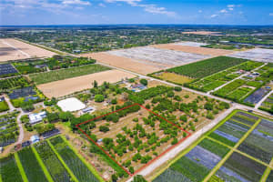 254xx Sw 217ave Homestead, FL 33031 - MLS#A11957403