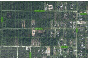 1981 Scarlet Sage Ter Sebring, FL 33875 - MLS#A11957559