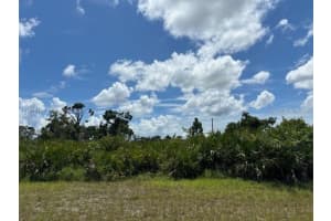 29328 Pontico St Punta Gorda, FL 33982 - MLS#A11959189