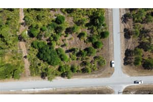 3007 E 10 St Lehigh Acres, FL 33972 - MLS#A11959929