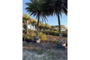 17450 Sw 208th St Miami, FL 33187 - MLS#A11961852