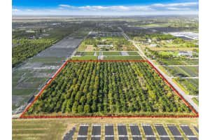 224xx Sw 202 Ave Homestead, FL 33170 - MLS#A11962020