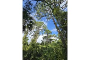 233 Malden Ave S Lehigh Acres, FL 33974 - MLS#A11962420