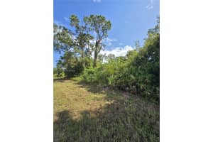 233 Malden Ave S Lehigh Acres, FL 33974 - MLS#A11962420