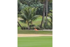 20442 NE 34th Ct #13, Aventura, FL 33180, - MLS#A11962915