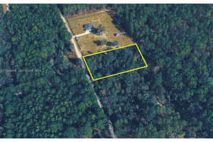 000 Dunnellon Dunnellon, FL 34432 - MLS#A11963066