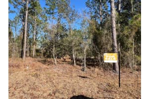000 Rainbow Lakes Estates Dunnellon, FL 34431 - MLS#A11963120