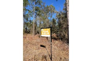 000 Rainbow Lakes Estates Dunnellon, FL 34431 - MLS#A11963120