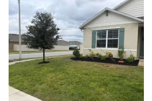 1747 Buckeye Rd Davenport, FL 33837 - MLS#A11963291