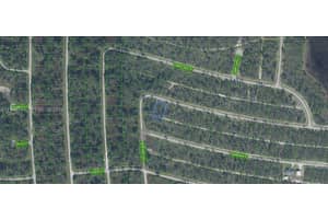 8049 Altara Street Sebring, FL 33872 - MLS#A11964641