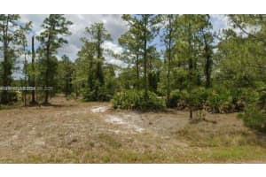 2321 Macarthur Ave Lehigh Acres, FL 33920 - MLS#A11964714