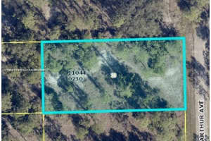 2321 Macarthur Ave Lehigh Acres, FL 33920 - MLS#A11964714