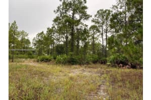 2321 Macarthur Ave Lehigh Acres, FL 33920 - MLS#A11964714