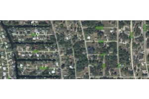 216 Silver Court Lake Placid, FL 33852 - MLS#A11965013