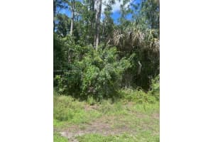 737 Doverbrook Drive Palm Bay, FL 32907 - MLS#A11965099