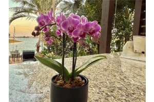 5265 Sw 171st Ave, Miramar