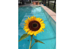 30255 Sw 197th Ave 0 Homestead, FL 33030 - MLS#A11965672