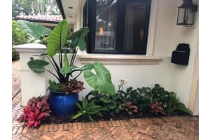 721 Tibidabo Ave Coral Gables, FL 33143 - MLS#A11966936