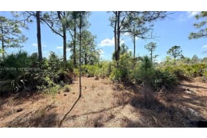 1076 E Bells St Lehigh Acres, FL 33974 - MLS#A11967978