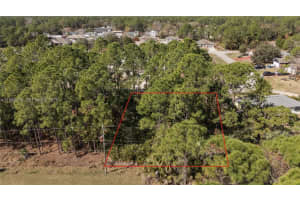 971 Cranberry Rd Se Palm Bay, FL 32909 - MLS#A11969338