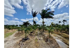 328xx Sw 202 Ave Homestead, FL 33034 - MLS#A11969421