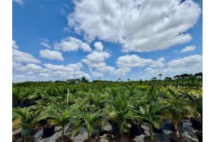 328xx Sw 202 Ave Homestead, FL 33034 - MLS#A11969421