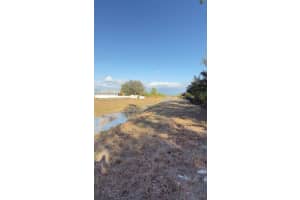 803 E Colyer St Lehigh Acres, FL 33974 - MLS#A11969655