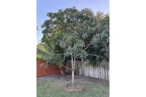 470 Ne 127th St North Miami, FL 33161 - MLS#A11970979