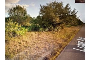 1320 Louis Ave Lehigh Acres, FL 33972 - MLS#A11971003