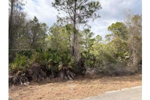 2119 Leroy Lehigh Acres, FL 33920 - MLS#A11971041