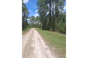 913 Abbey St E Lehigh Acres, FL 33974 - MLS#A11971544