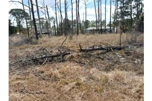 245 Moon River Avenue Sebring, FL 33852 - MLS#A11972196