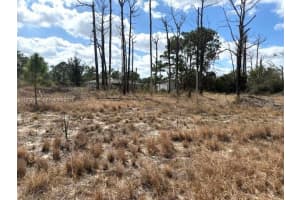 245 Moon River Avenue Sebring, FL 33852 - MLS#A11972196