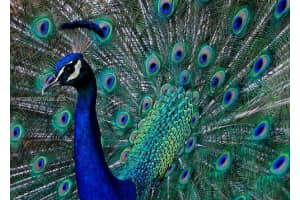 330 Ne 86 St El Portal, FL 33138 - MLS#A11972798