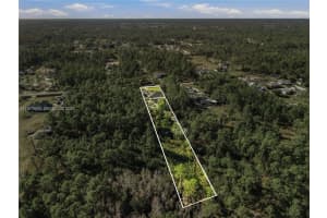 31st Ave NE, Rural Estates, FL 34120, - MLS#A11973962