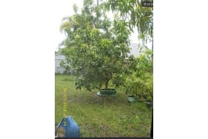 16501 Sw 102nd Ct Miami, FL 33157 - MLS#A11975418