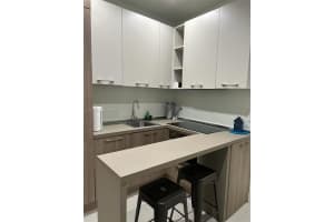 245 NE 33rd St #207, Miami, FL 33137, - MLS#A11975453