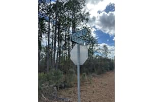 MLS# A11975539, Dunnellon, Florida 34431