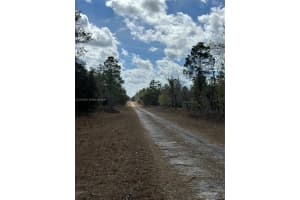 MLS# A11975539, Dunnellon, Florida 34431