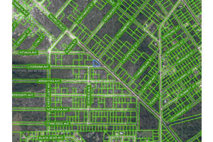 532 Nichele Boulevard Lake Placid, FL 33852 - MLS#A11975550