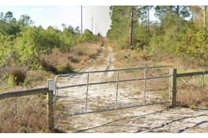 532 Nichele Boulevard Lake Placid, FL 33852 - MLS#A11975550