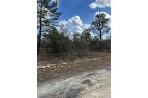 MLS# A11975568, Ocala, Florida 34481