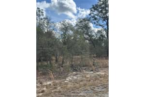 MLS# A11975568, Ocala, Florida 34481