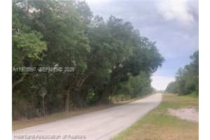 615 Wildflower Street Lake Placid, FL 33852 - MLS#A11975597