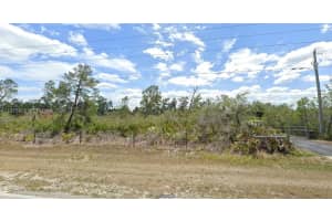 3284 Havenwood Drive Sebring, FL 33875 - MLS#A11975822